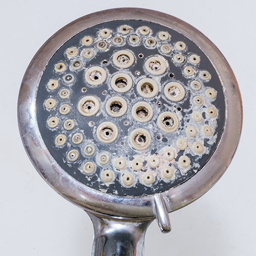 shower-head.png